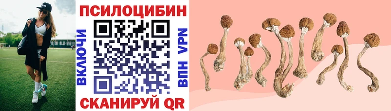 Псилоцибиновые грибы GOLDEN TEACHER  продажа наркотиков  Темников 